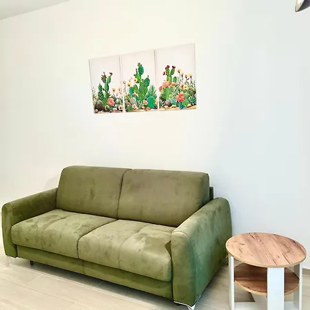 Casa Cactus *